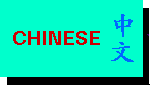 Chinese Choice Button